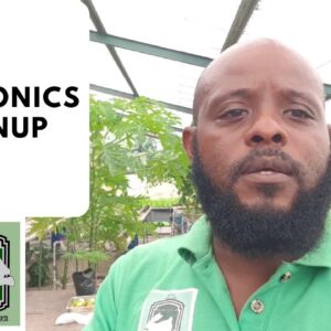 Trinidad Aquaponics - Aquaponics Cleanup 8th April, 2020