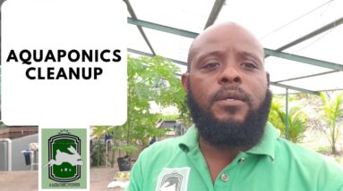 Trinidad Aquaponics - Aquaponics Cleanup 8th April, 2020