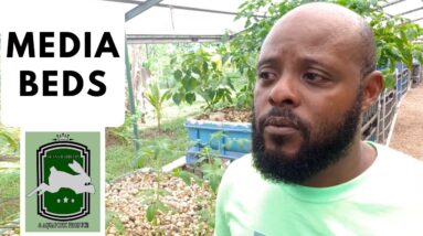 Trinidad Aquaponics - Media Beds