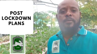 Trinidad Aquaponics - Post Lockdown Plans