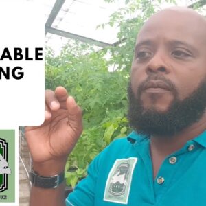 Trinidad Aquaponics - Sustainable Living