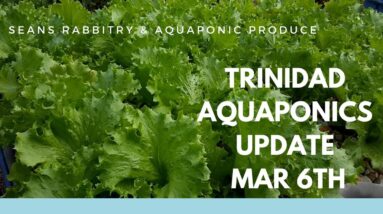 Trinidad Aquaponics Update Mar 6th 2018