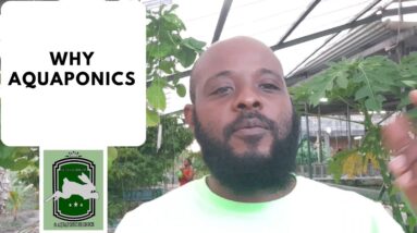 Trinidad Aquaponics - Why Aquaponic 15th April, 2020