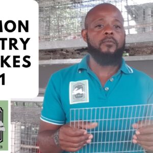 Trinidad Rabbit Farming - Common Rabbitry Mistakes Pt 1