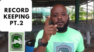 Trinidad Rabbit Farming - Record Keeping Pt 2