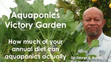 1:26:2021 UPDATE THE AQUAPONICS VICTORY GARDEN What % of your diet can aquaponics actually grow?