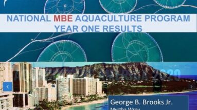 Nat. Minority (MBE) Aquaculture Program Pres @ Aquaculture America 2020 Honolulu Hi Feb 12  Brooks