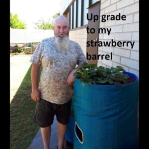 Up grade to my Aquaponics strawberry barrel