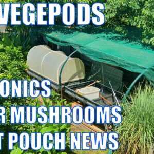 Vegepods, Aquaponics, Mushrooms & Bye Bye Root Pouches