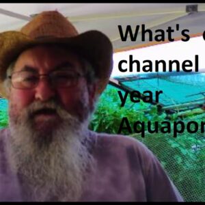 What's  on my channel  this year  Aquaponic