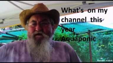 What's  on my channel  this year  Aquaponic