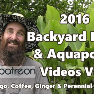 Backyard Farm & Aquaponic Patreon Videos VOL IV - Mango, Coffee, Ginger & Perennial Spinach