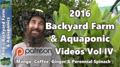 Backyard Farm & Aquaponic Patreon Videos VOL IV - Mango, Coffee, Ginger & Perennial Spinach