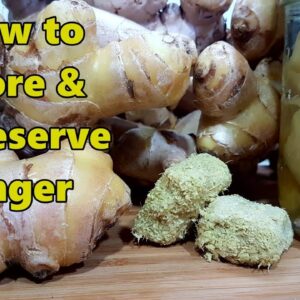 7 Ways to Store GINGER