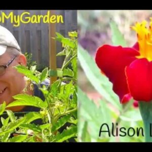 An English Wild Garden with Alison Levey