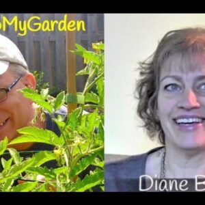 An Insider’s Insider with Diane Blazek