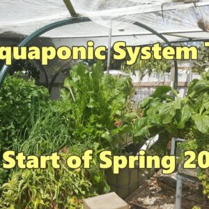 Aquaponic System Tour - Start of Spring 2016