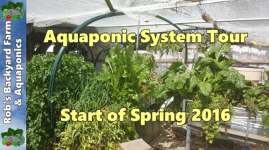 Aquaponic System Tour - Start of Spring 2016