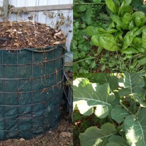 Aquaponic update. Welcoming Spring 2015 with a compost heater catch up.