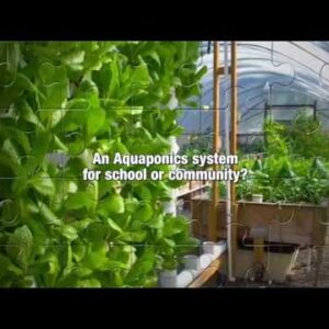 Aquaponics Design Course Now Open