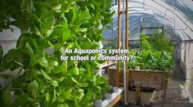 Aquaponics Design Course Now Open