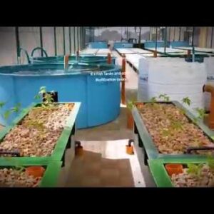 Aquaponics Design Course Now Open