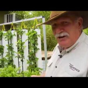 Aquaponics Design Course Now Open