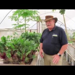 Aquaponics During a Drought