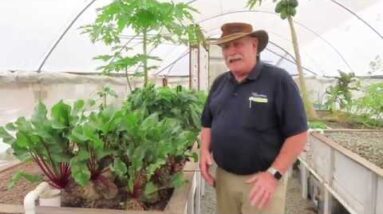 Aquaponics During a Drought