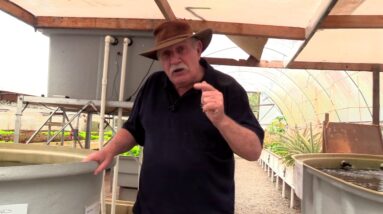 Aquaponics Fibreglass Tank Course