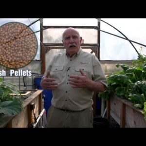 Aquaponics Fish Feed Trial - Pellets or Organic?