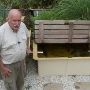 Aquaponics Fish Stress