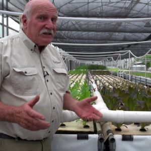 Aquaponics Help! My Lettuce Won't Grow!