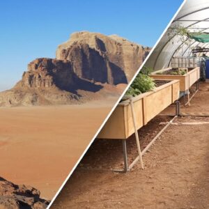 Aquaponics in Jordan