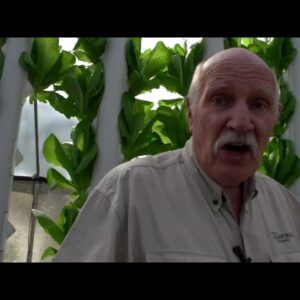 Aquaponics on Solar? Is it Possible?