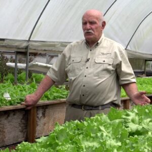 Aquaponics Plant Nutrition Story