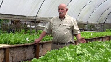 Aquaponics Plant Nutrition Story