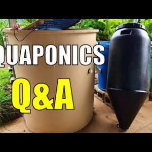 Aquaponics Q&A | Mineralisation & New Cone Based Filter