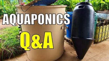 Aquaponics Q&A | Mineralisation & New Cone Based Filter