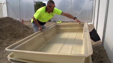 Aquaponics: Small Farm Build Course