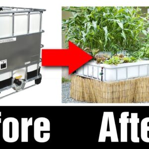 Aquaponics System being Built in 60 seconds