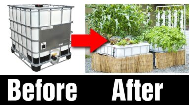 Aquaponics System being Built in 60 seconds