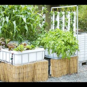 Aquaponics Tote Tank Build