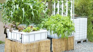 Aquaponics Tote Tank Build