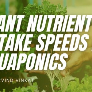 Nutrient Exposure Rates and Mastering Multicrop Systems in Commercial Aquaponics with Arvind Vinkat