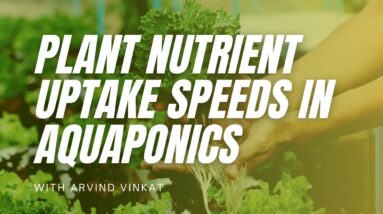 Nutrient Exposure Rates and Mastering Multicrop Systems in Commercial Aquaponics with Arvind Vinkat