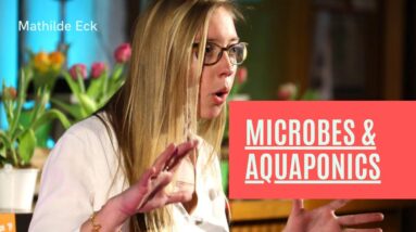 Mathilde Eck and Microorganisms and bacterial communities in Aquaponics.