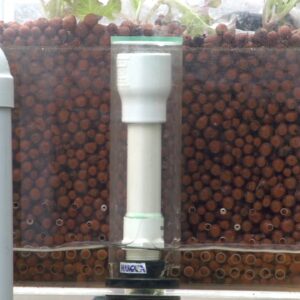 Autosiphons and Good Aeration in Aquaponics