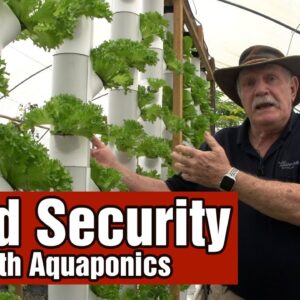 Become Food Secure with Aquaponics