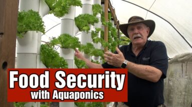 Become Food Secure with Aquaponics